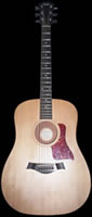 Acoustic guitar