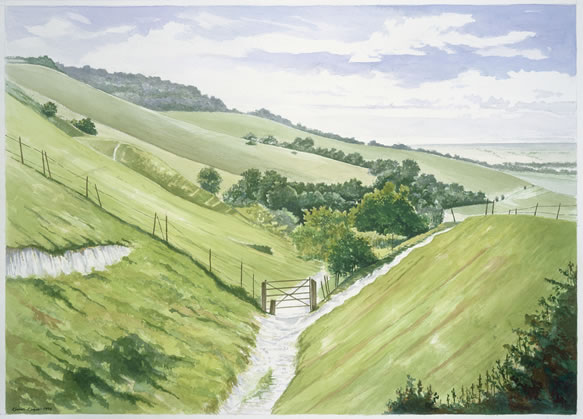 View of South Downs - Kevan Koya